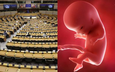 Marito Mihovil Letica: Abortus ili pravo na život, kultura života ili kultura smrti